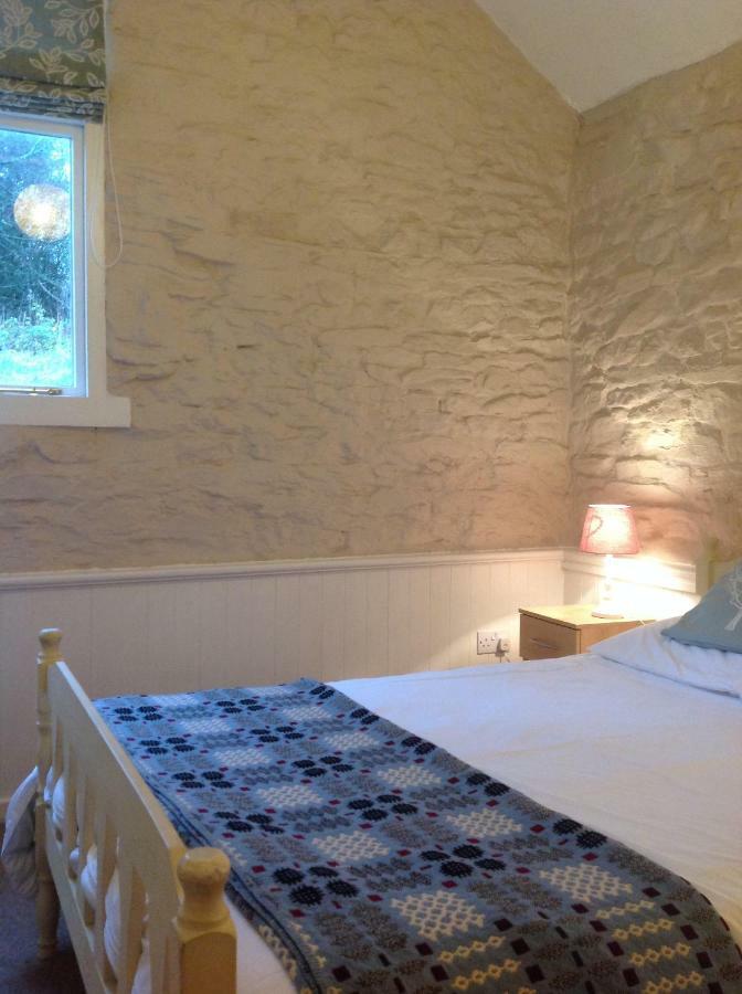 Cwmtwrch Cottage Καρμάρθεν Εξωτερικό φωτογραφία